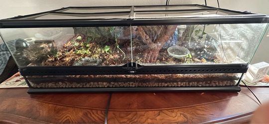 Terrarium