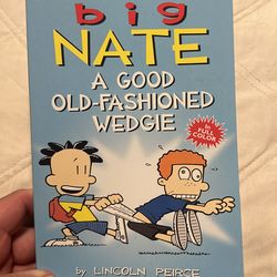 Big Nate and the good old-fashioned wedgie book