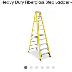 12 Foot Werner Ladder $180