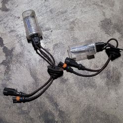 Hid Light Bulbs 
