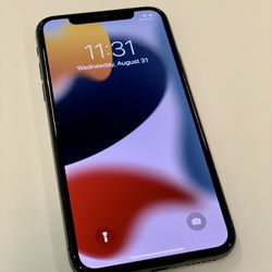 iPhone X Fully Unlocked 