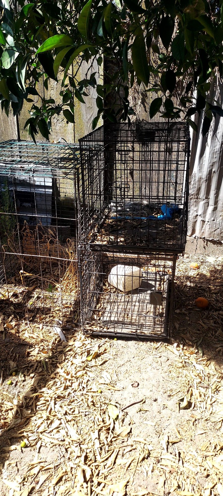 Cage For Ur Pet