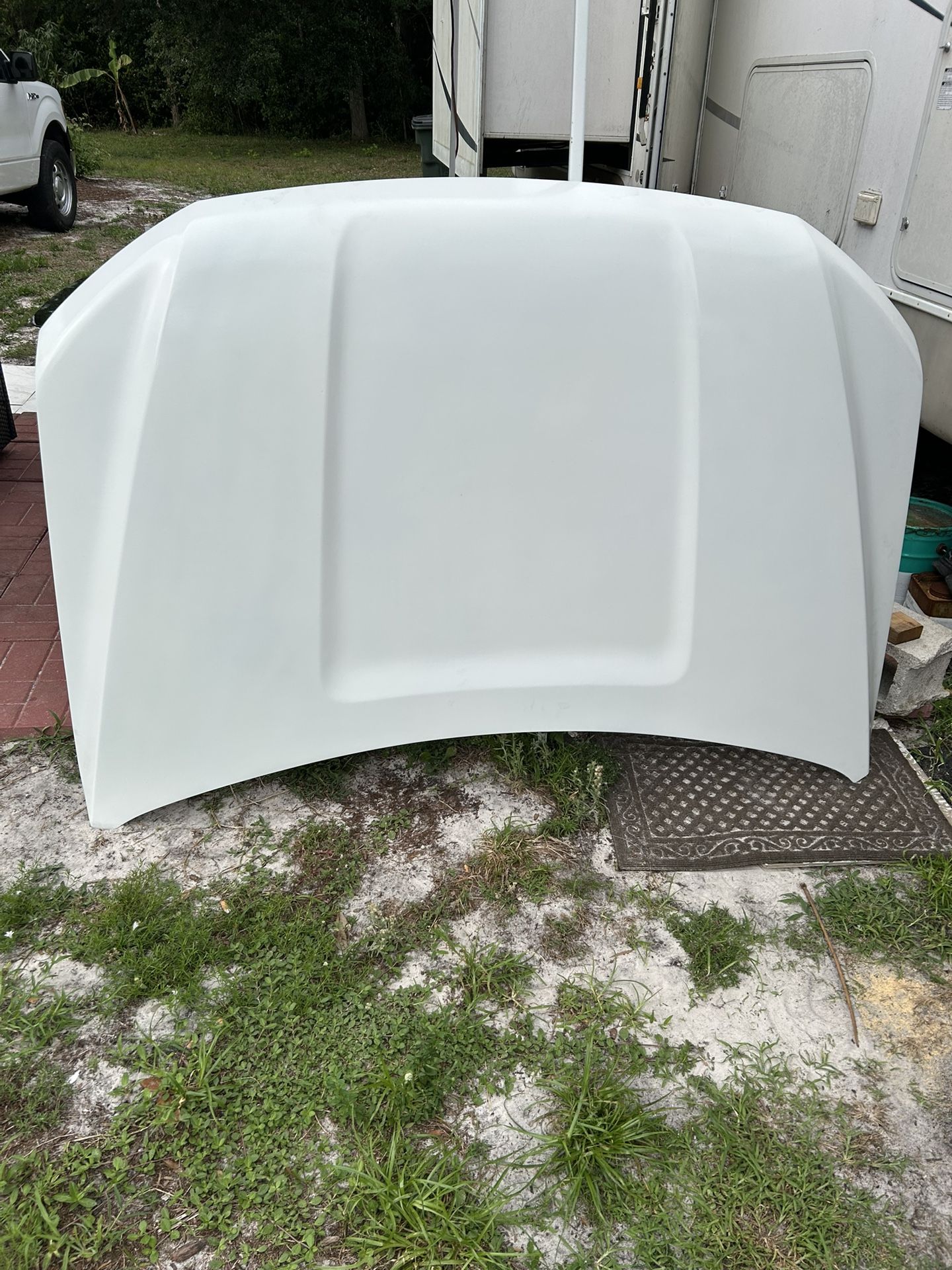 2020 Ford F150 Hood