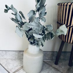 Cream Colored Stone Vase With Real Dried Silver Dollar Eucalyptus 🤩