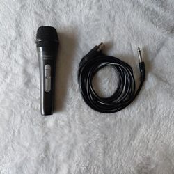 Microphone 🎤 
