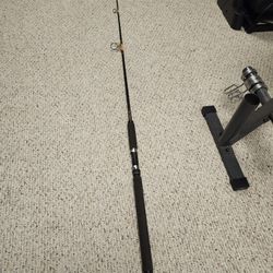 Daiwa Beefstick Fishing Rod