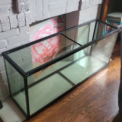Fish Tank 