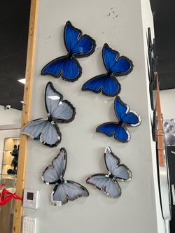 Set de mariposas en acrilico