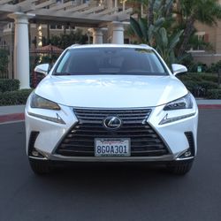 2019 Lexus NX