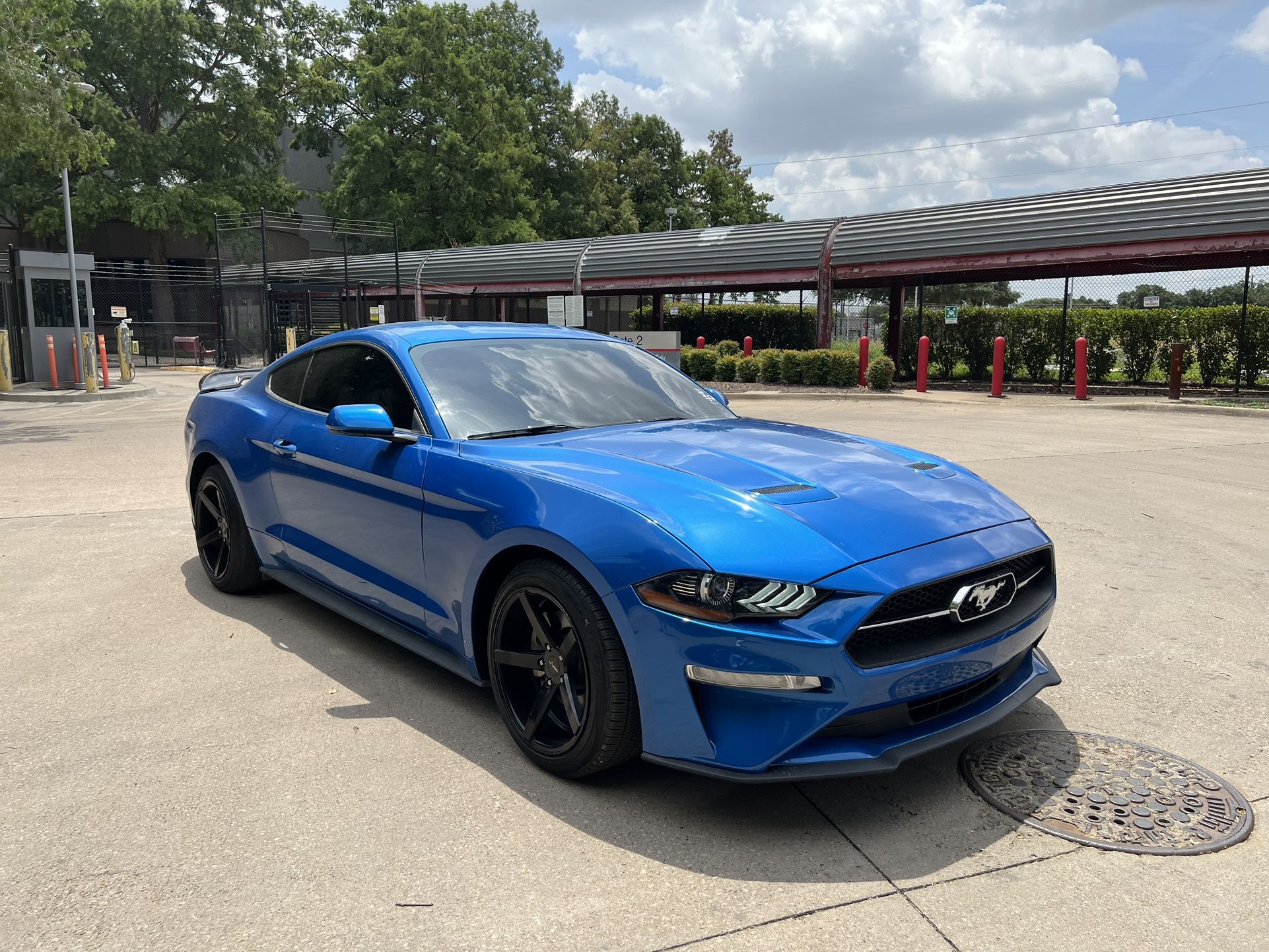 2019 Ford Mustang