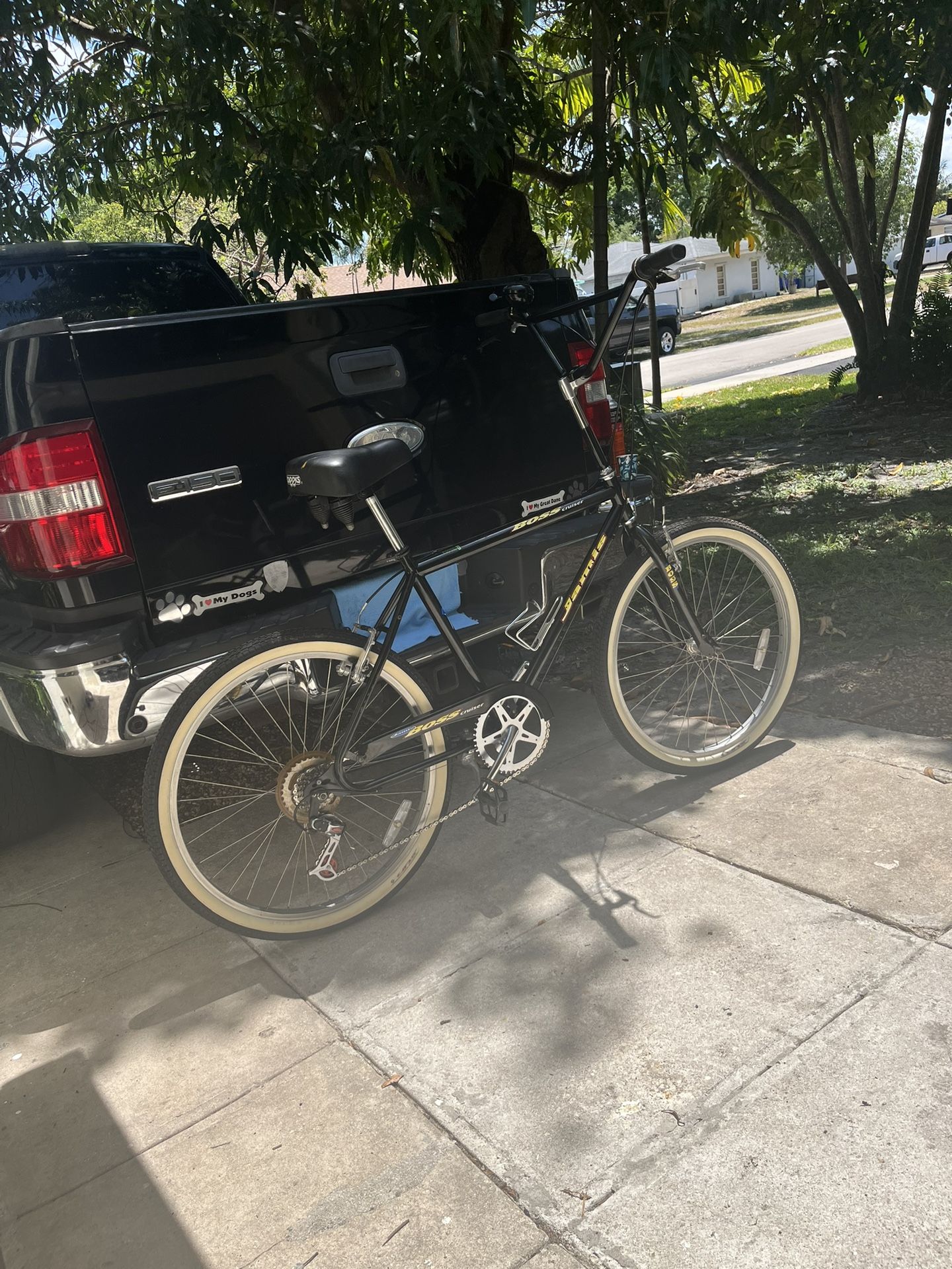 Boss Beach Cruiser
