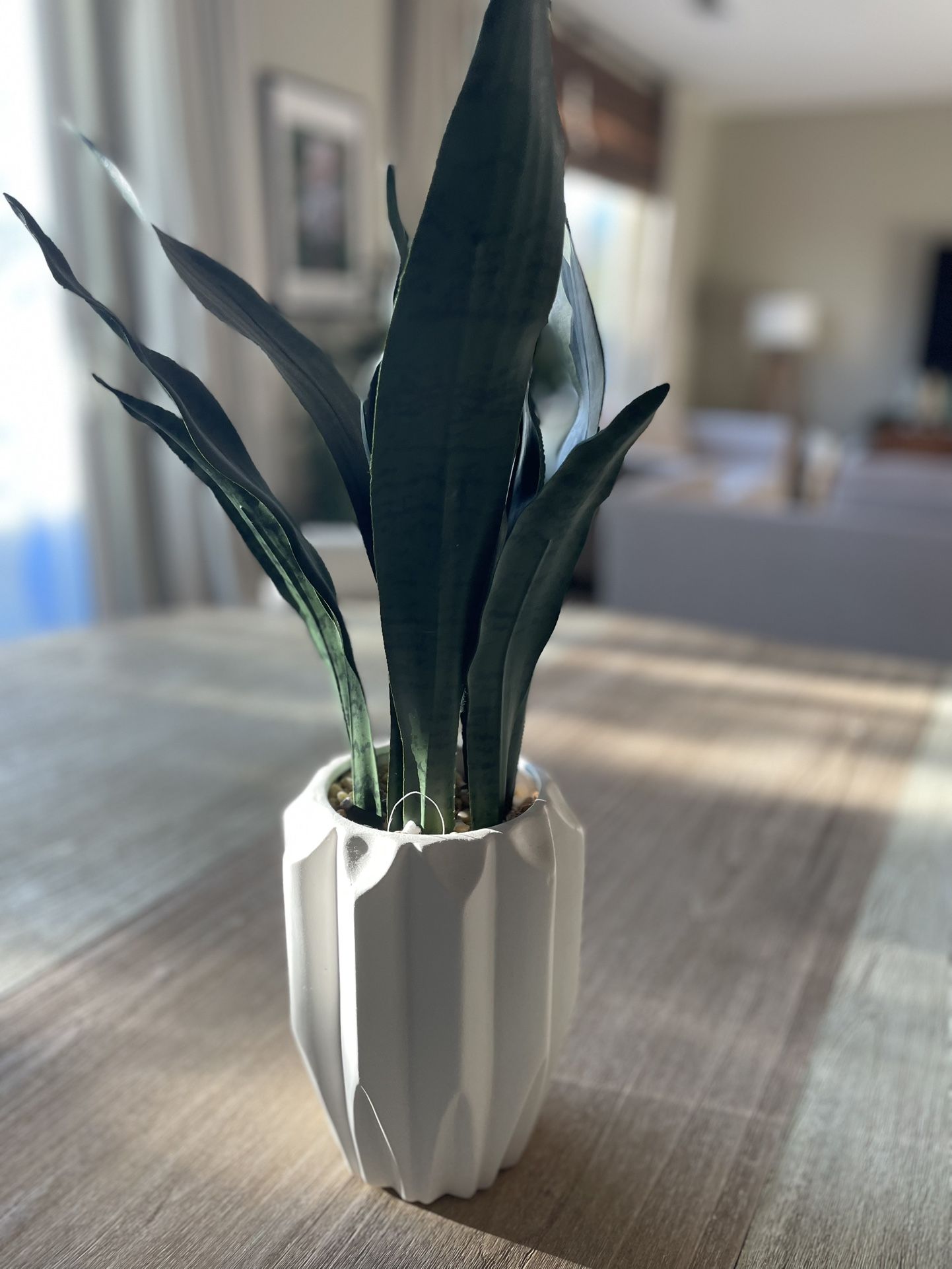 Fake Plants