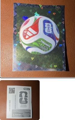 World Cup panini soccer ball