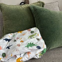 Dino Sheets With Decorative Pillows 
