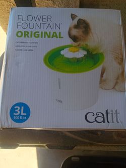 Cat Drinking Fountain