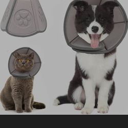 Medium Animal Cone