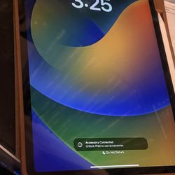 iPad Pro 11 Inch 4th Generation 