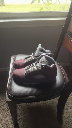 Air Jordan 5 SE