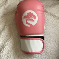 Women’s sparring, gloves, pink small