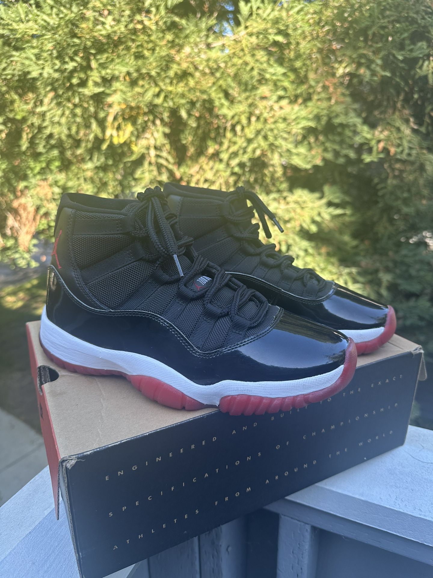 🍞Bred 11 Sz 8.5