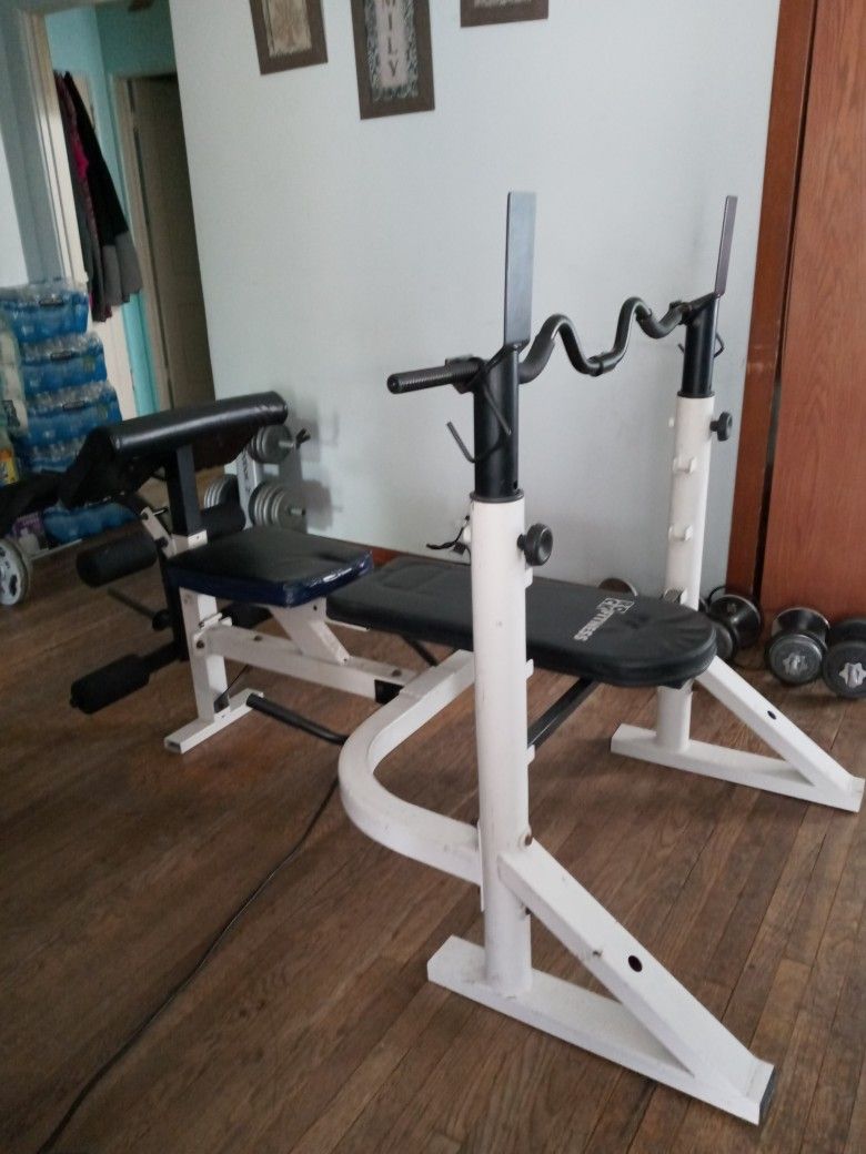 Heavy Duty Bench Press Rock Fitness Shin Dip/ Leg Rise