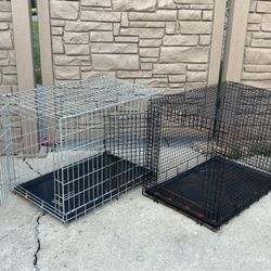 Dog Crates