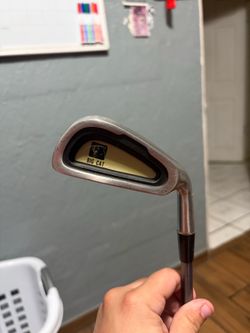 Big Cat 1 Iron