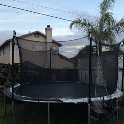 Trampoline 