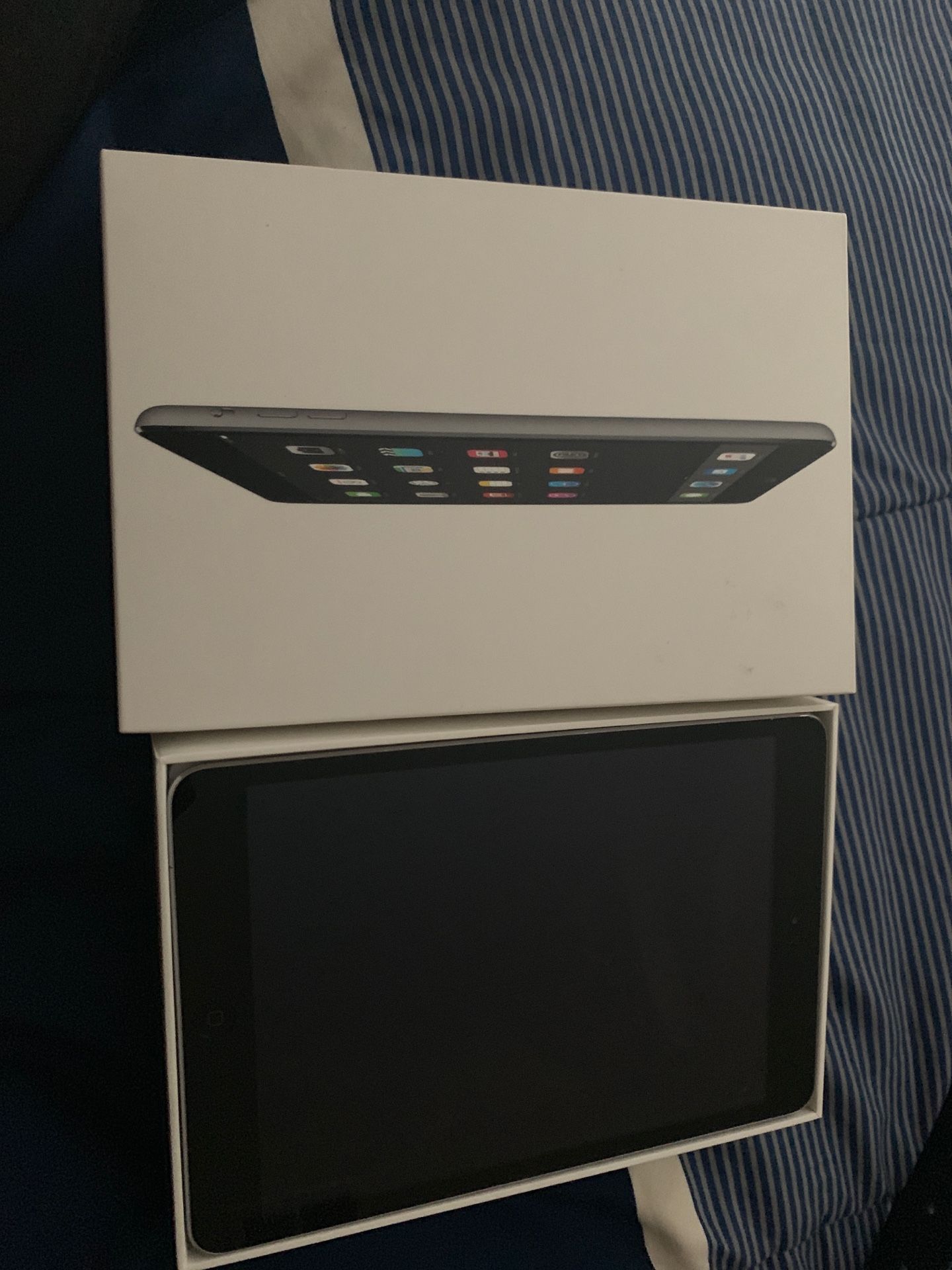 iPad Mini 2