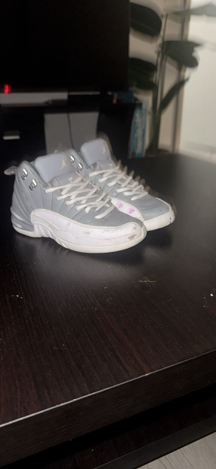 Jordan 12 Gs