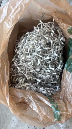 Box of Christmas lights