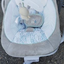 Ingenuity Swing 