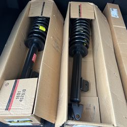 Brand New Struts
