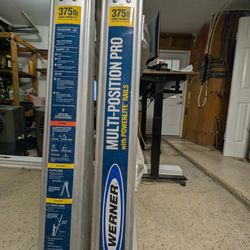 Werner Multi-position Ladder