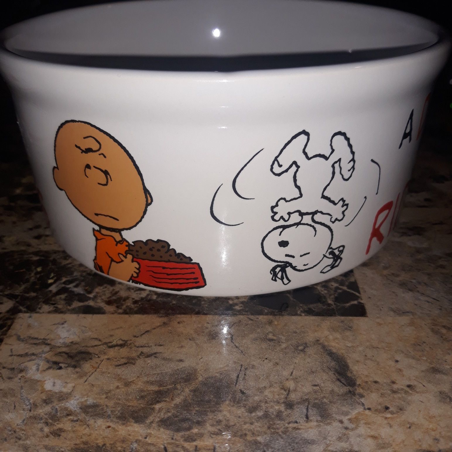 Peanuts Dog bowl