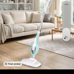 Steam Mop