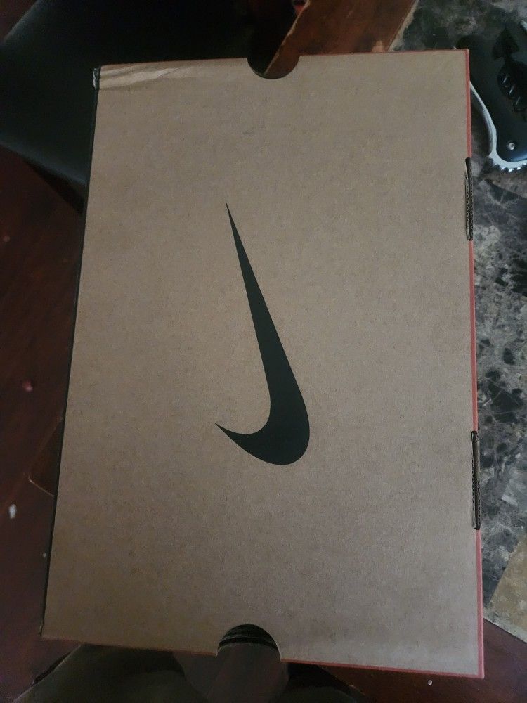 Jordan Bread 11's