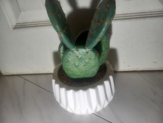Artificial Plant Cactus Ceramic Planter