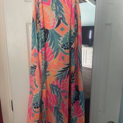  LILLY PULITZER Size L pink with blue multi Margot dress