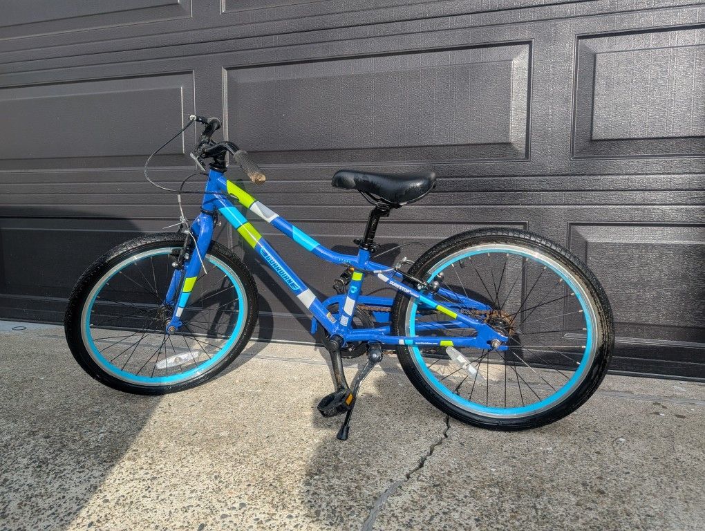 Guardian kid bike