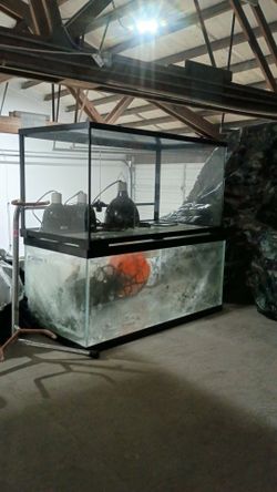 2 aquarium tanks