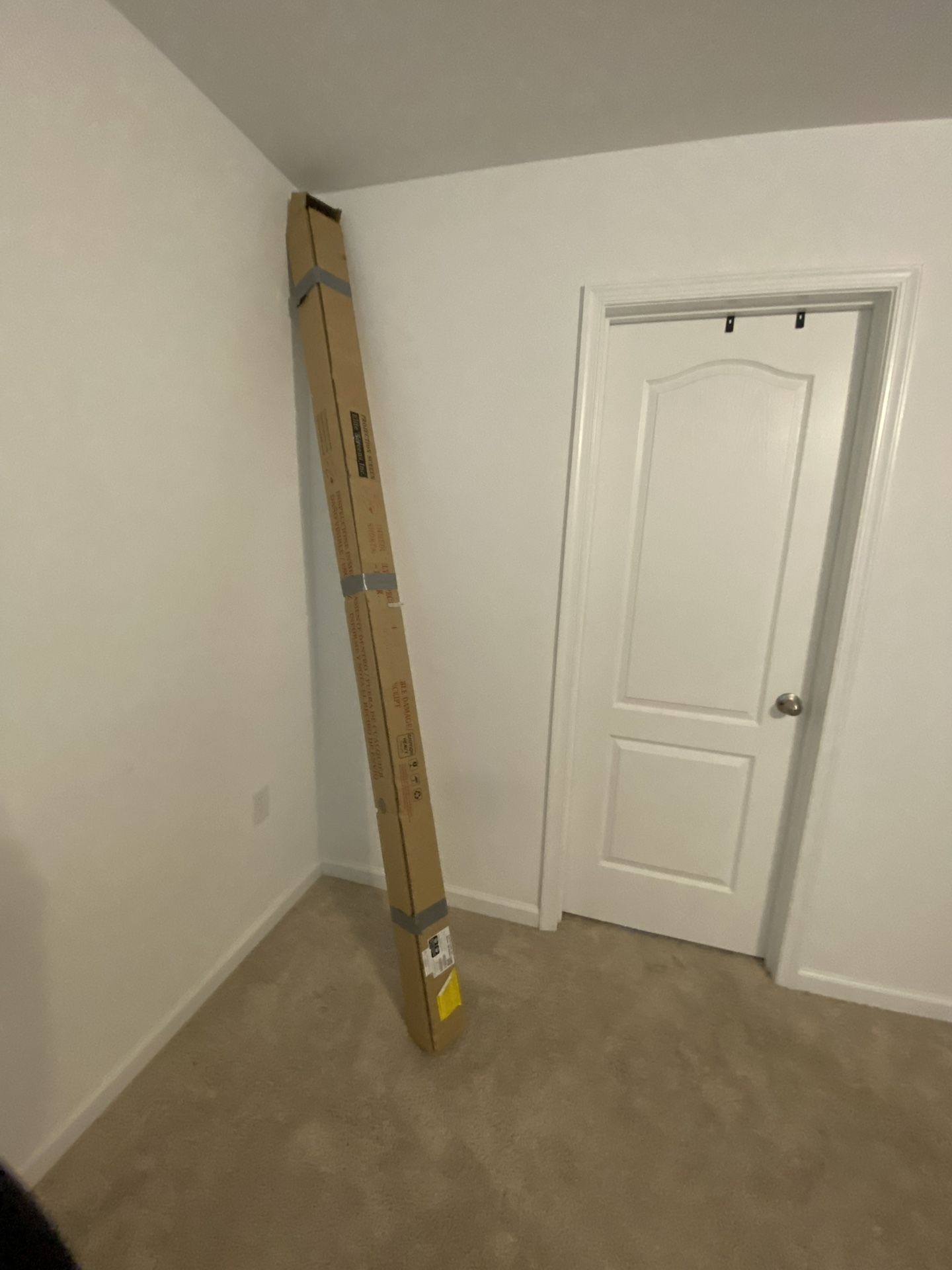 Projector Screen