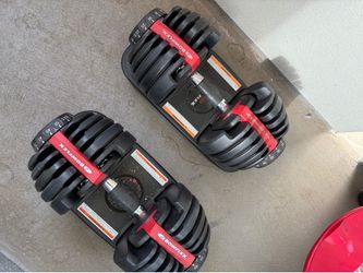 Pair of Bowflex dumbells
