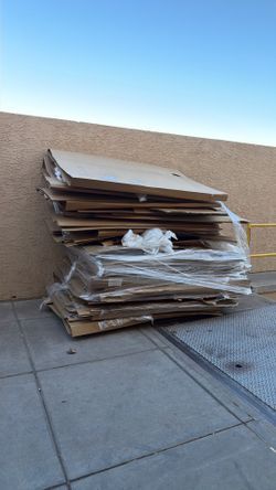Cardboard