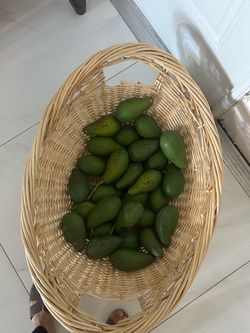 Organic avocado