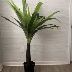 Faux Bamboo Tree 🌴 