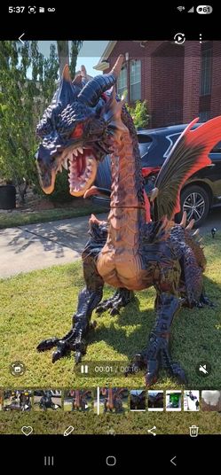 Dragón grande