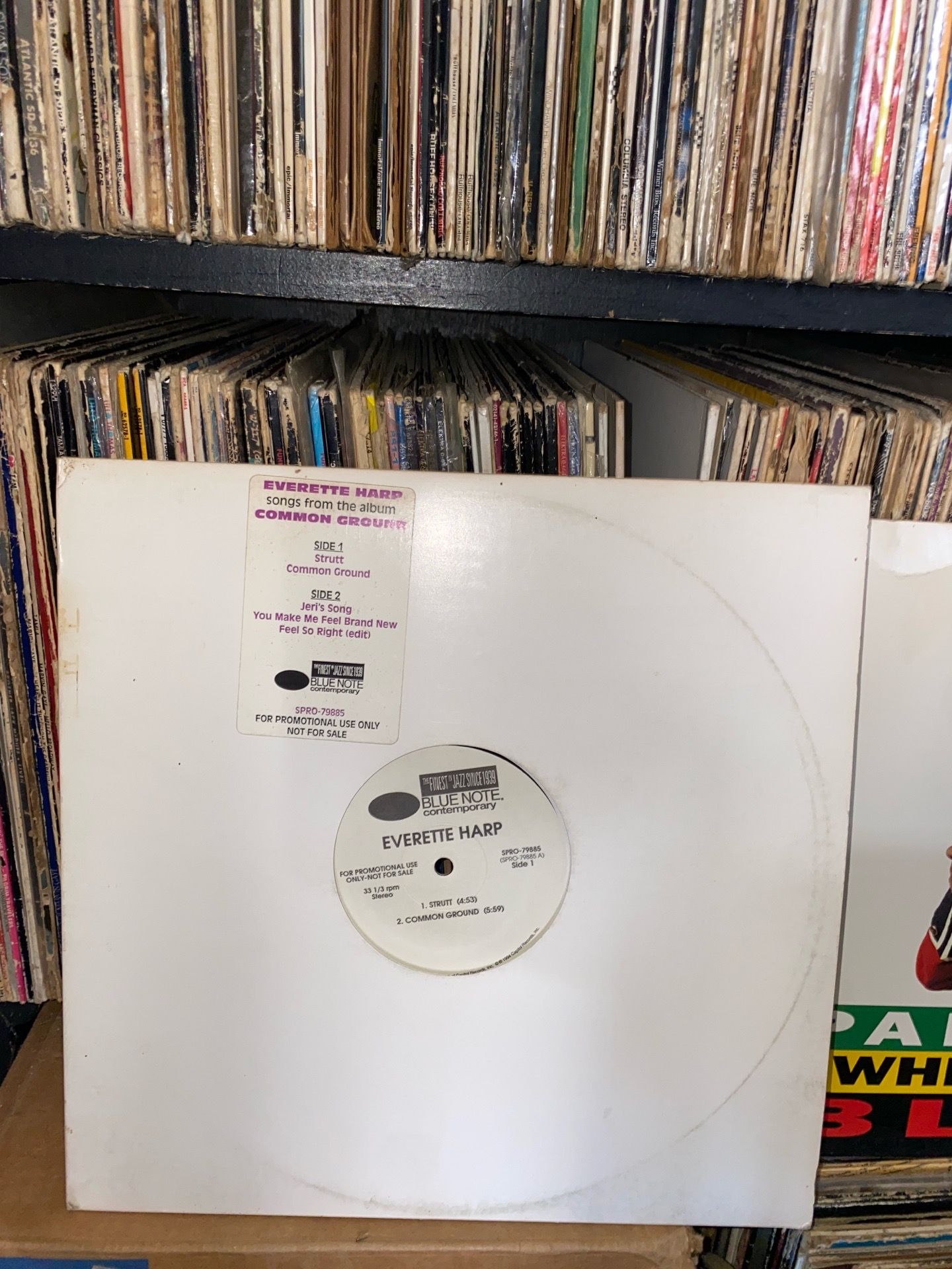 Everette Harp - Strutt (12", Promo) Media: Very Good Plus (VG+) Sleeve: Very Good Plus (VG+)