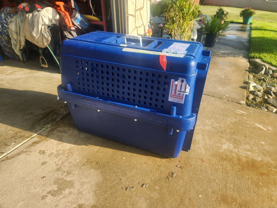 XXL Dog Shipping Crate