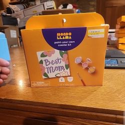 Paint Your Own Coaster Kit